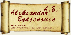 Aleksandar Buđenović vizit kartica